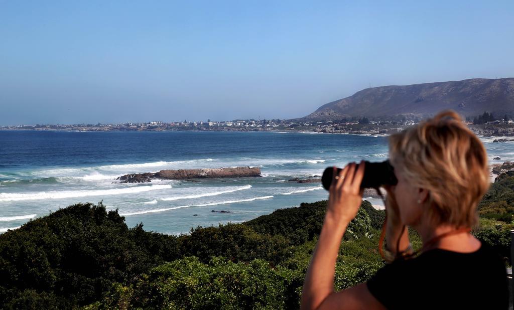 Hermanus Beach Villa 외부 사진